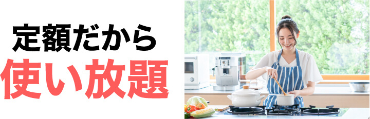 定額だから使い放題